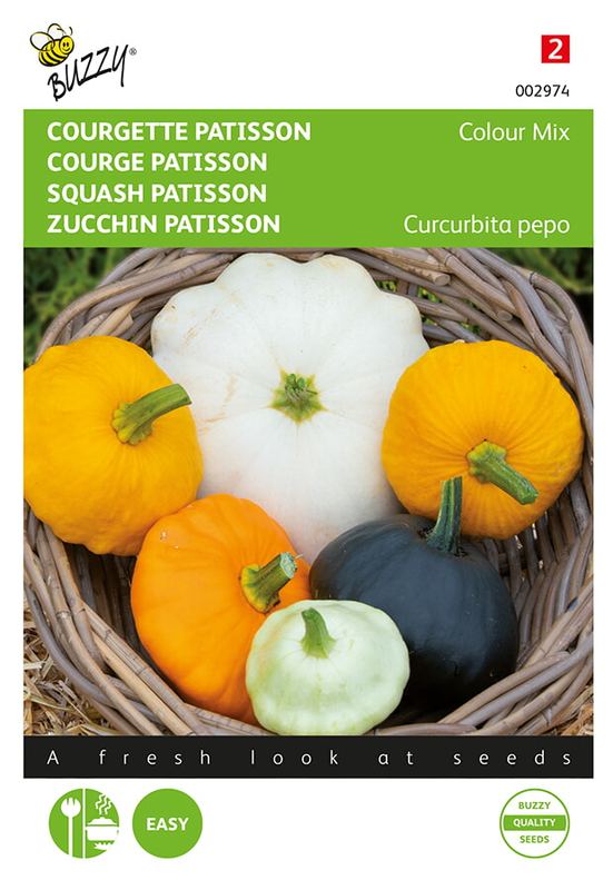 Buzzy® Courgette Patisson Colour mix