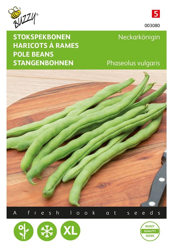 Buzzy® Stokspekbonen Neckarkönigin, type Phenomeen