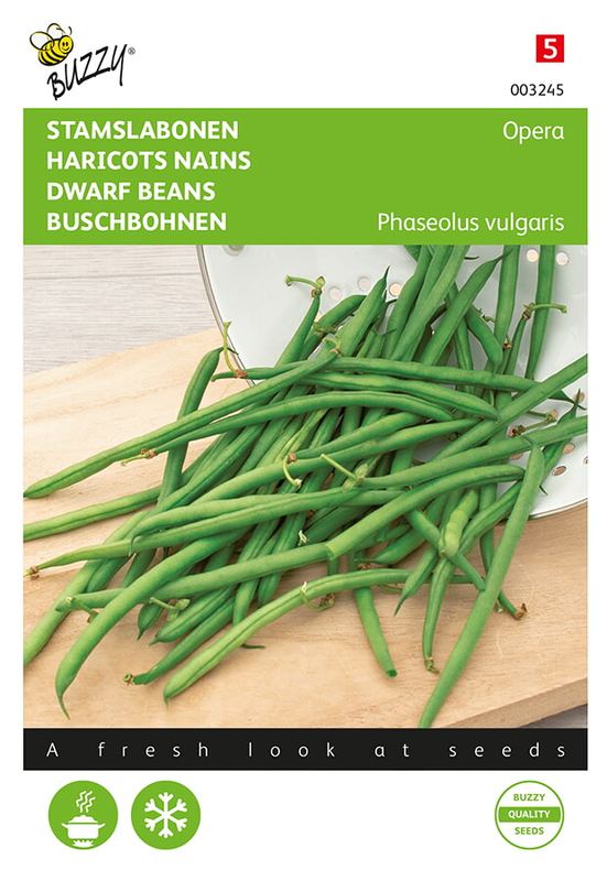 Buzzy® Haricots nains Opera (Gourmetboontje)