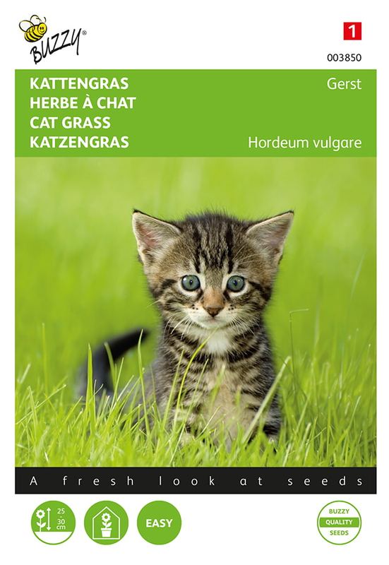 Buzzy® Kattengras Gerst
