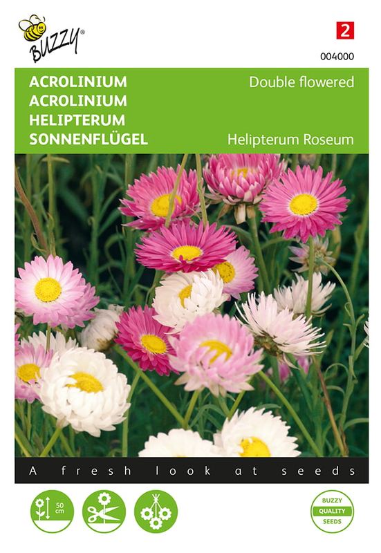 Buzzy® Acrolinium dubbelbloemig gemengd