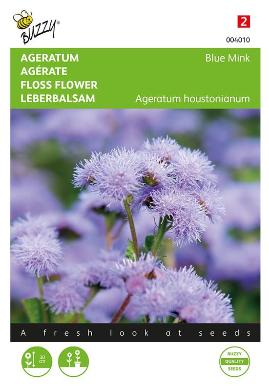 Buzzy® Ageratum, Leverbalsem Blue Mink
