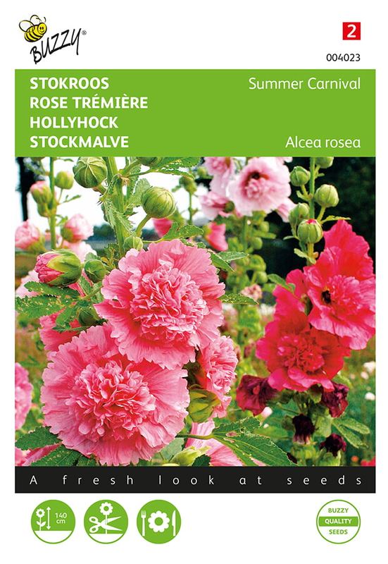 Buzzy® Althaea, Stokroos Summer Carnival