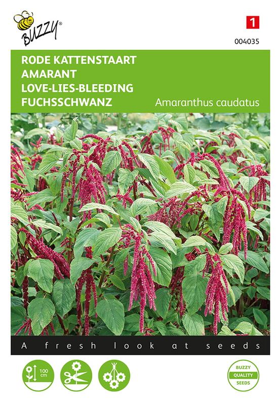 Buzzy® Amaranthus, Kattenstaart rood
