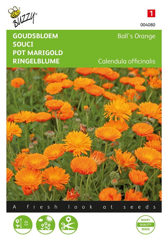 Buzzy® Calendula, Goudsbloem Ball’s Orange dubbelbloemig