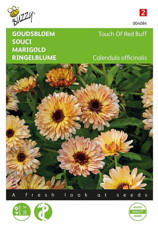 Buzzy® Calendula Touch of Red Buff