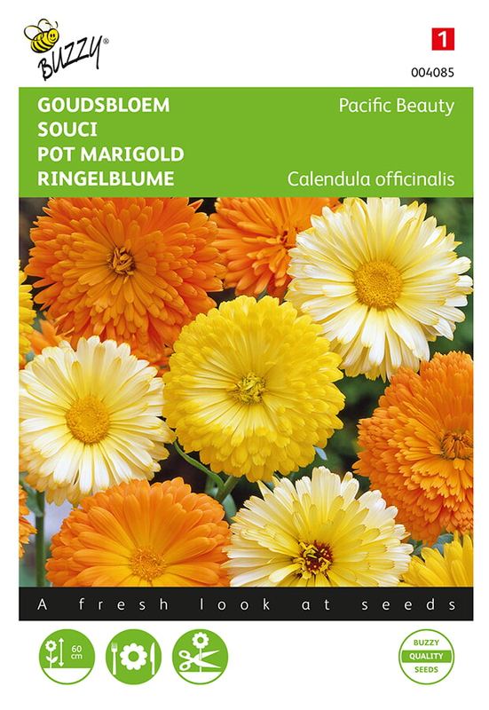 Buzzy® Calendula, Goudbloem Pacific Beauty mélangé