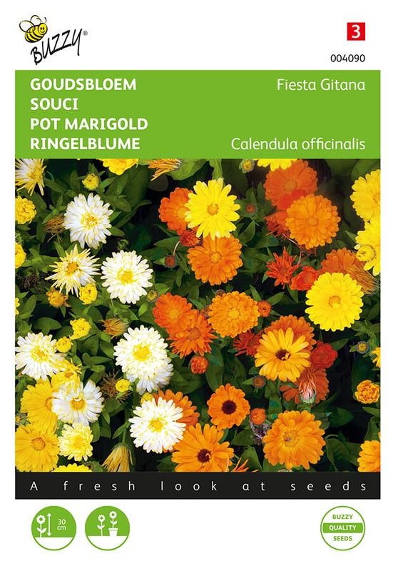 Buzzy® Calendula, Goudsbloem Fiesta Gitana gemengd