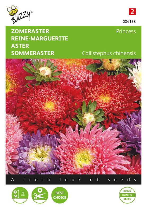 Buzzy® Callistephus, Zomeraster Prinses gemengd