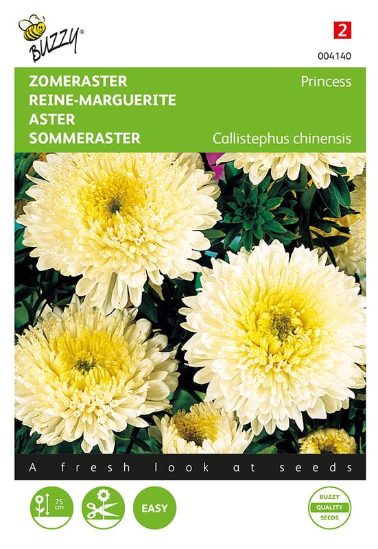 Buzzy® Callistephus, Zomeraster Prinses goudgeel