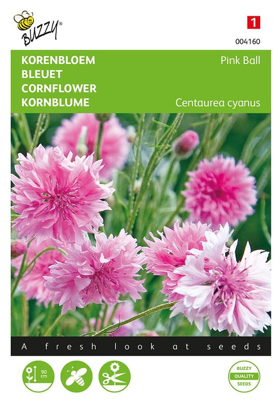 Buzzy® Centaurea, Korenbloem Pink Ball