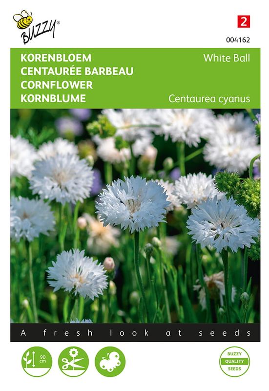 Buzzy® Centaurea cyanus White Ball