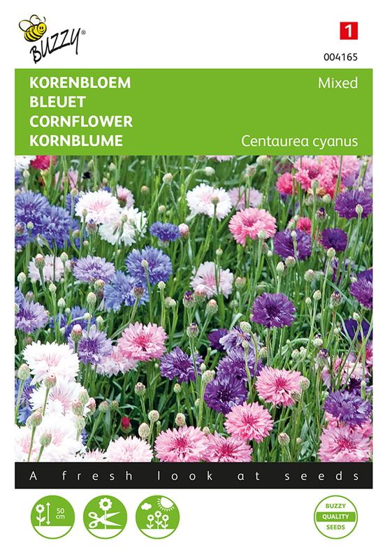 Buzzy® Centaurea, Korenbloem à fleurs doubles mélangé