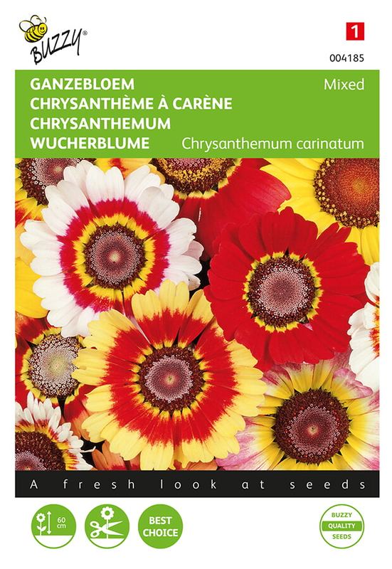 Buzzy® Chrysanthemum, Ganzebloem gemengd