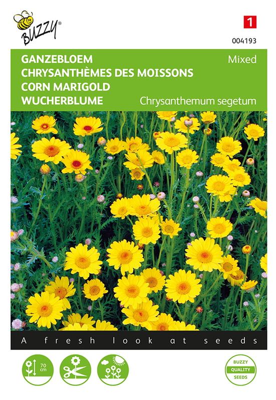 Buzzy® Chrysanthemum, Ganzebloem gele tinten mélangé