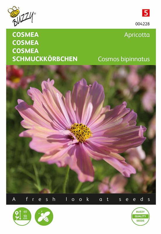 Buzzy® Cosmos Apricotta