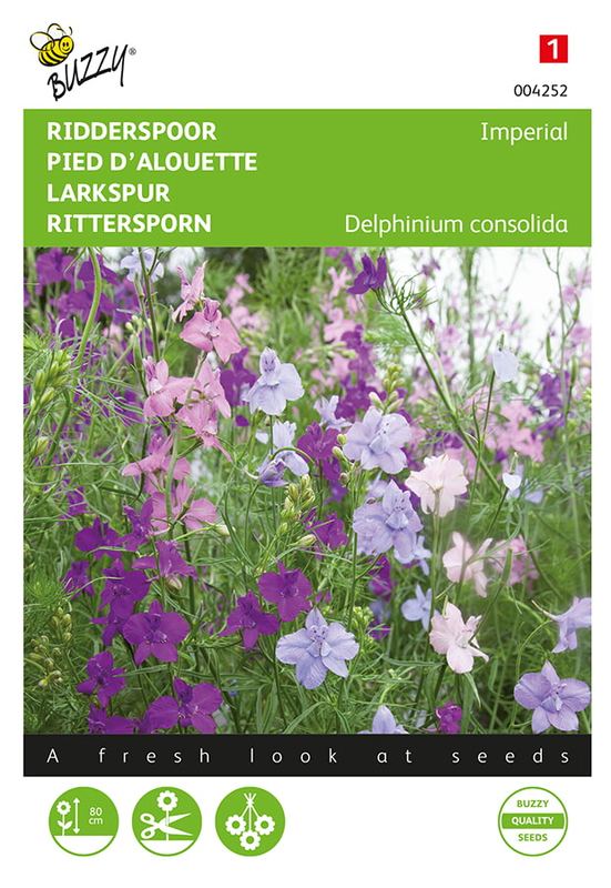 Buzzy® Delphinium, Ridderspoor Imperial gemengd