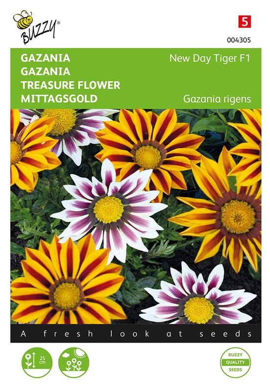 Buzzy® Gazania New Tiger F1 gemengd