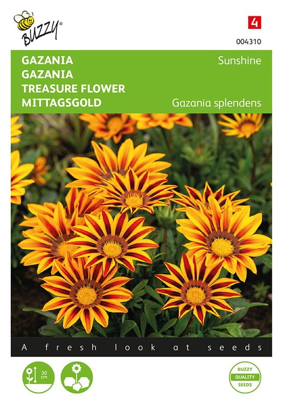 Buzzy® Gazania Sunshine gemengd