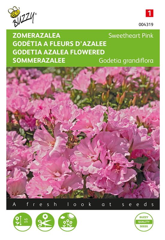 Buzzy® Godetia, Zomer Azalea Salmon Princess