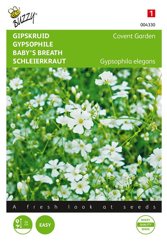 Buzzy® Gypsophila, Gipskruid Covent Garden