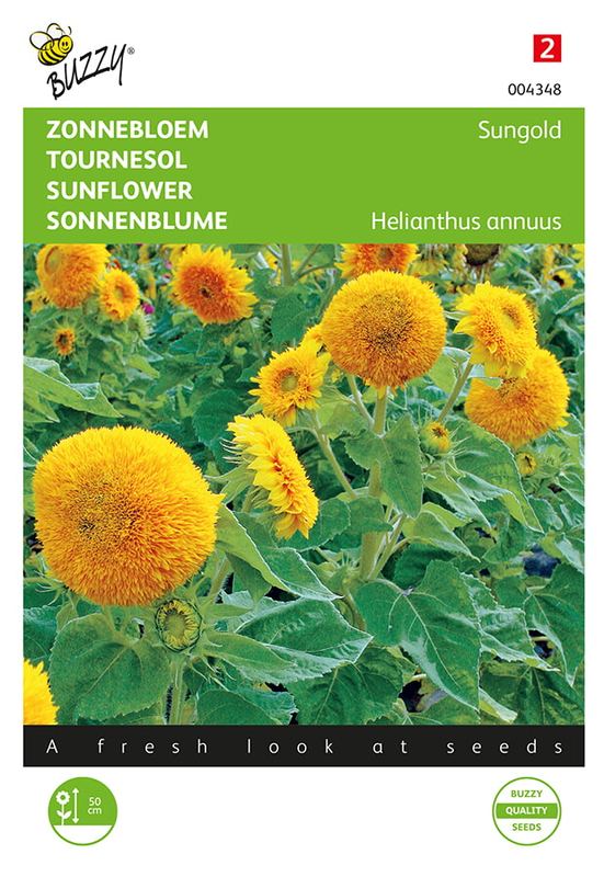 Buzzy® Helianthus, Zonnebloem Sungold dubbelbloemig laag
