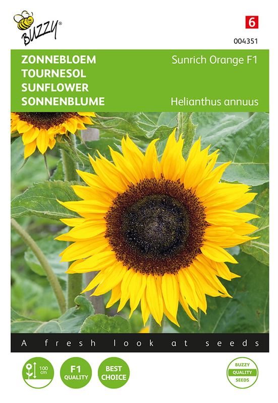 Buzzy® Helianthus, Zonnebloem Sunrich Orange F1