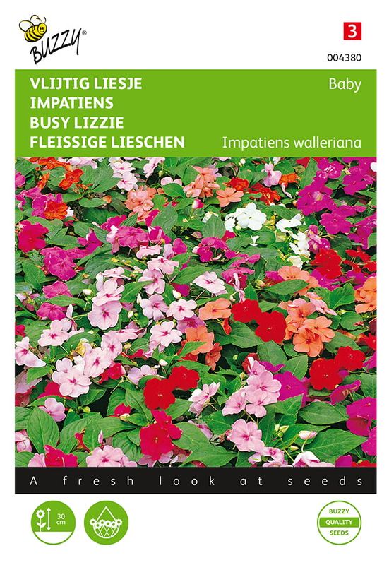 Buzzy® Impatiens, Vlijtig Liesje Baby mélangé