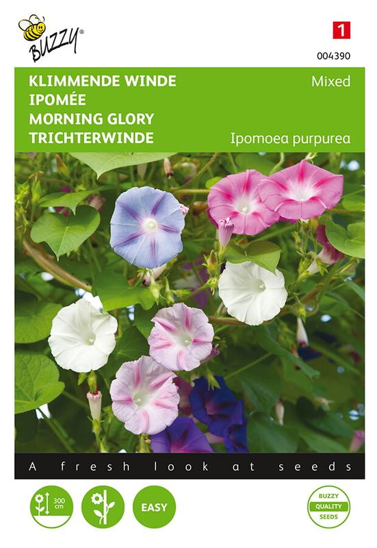 Buzzy® Ipomoea, Klimmende winde gemengd