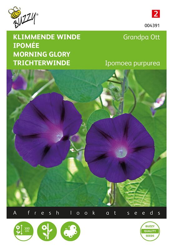 Buzzy® Ipomoea, Klimmende winde Grandpa Ott