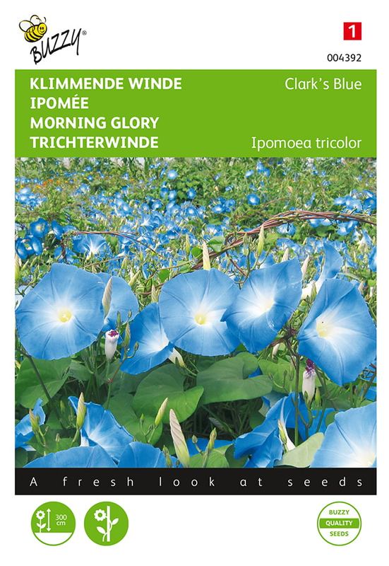 Buzzy® Ipomoea, Klimmende winde Clark’s Blue
