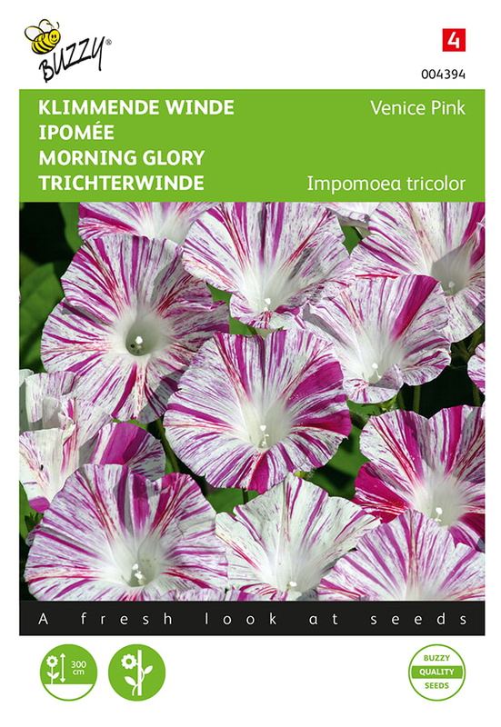 Buzzy® Ipomoea, Klimmende winde Venice Pink