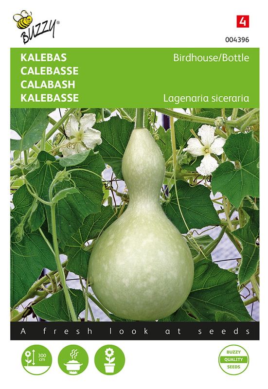 Buzzy® Laganeria, Sierkalebas Giant Bottle