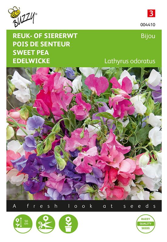 Buzzy® Lathyrus, Reuk- of siererwt Bijou