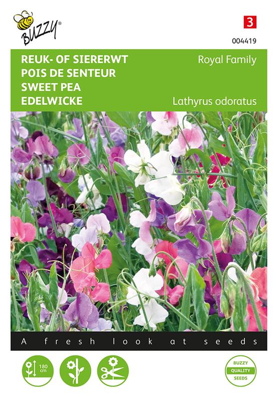 Buzzy® Lathyrus, Reuk- of siererwt Royal Family gemengd