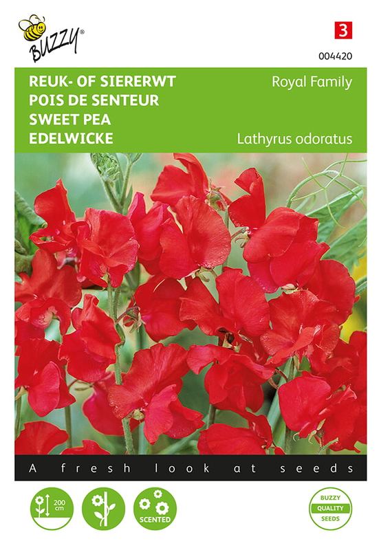 Buzzy® Lathyrus, Reuk- of siererwt Royal Family Scarlet