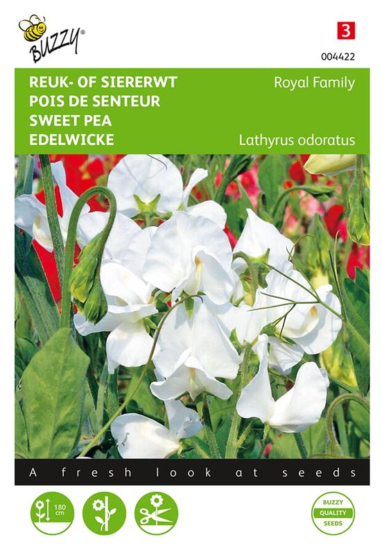 Buzzy® Lathyrus, Reuk- of siererwt Royal Family Wit