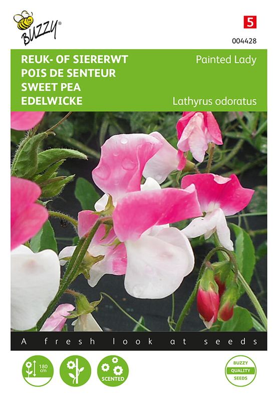 Buzzy® Lathyrus, Reuk- of siererwt Painted Lady