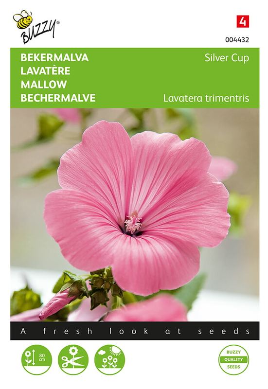 Buzzy® Lavatera, Bekermalva Silver Cup