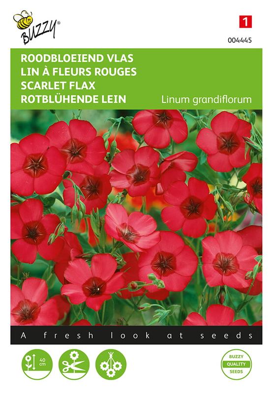 Buzzy® Linum, roodbloeiende Vlas