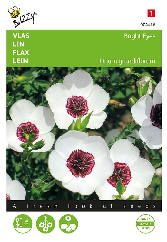 Buzzy® Linum, Vlas Bright Eyes