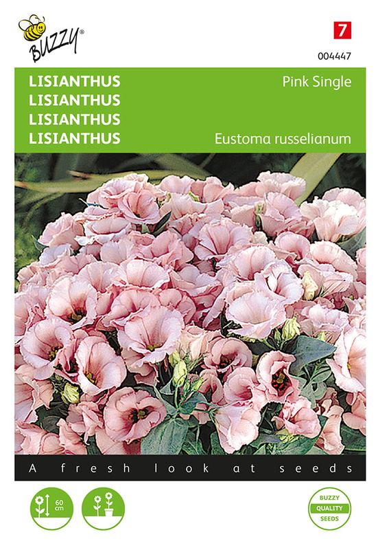 Buzzy® Lisianthus mini roze