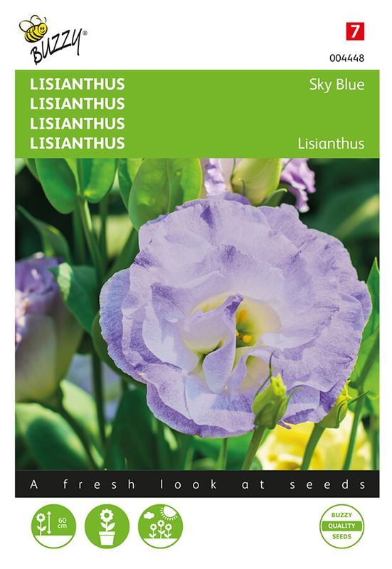 Buzzy® Lisianthus mini Sky Blue
