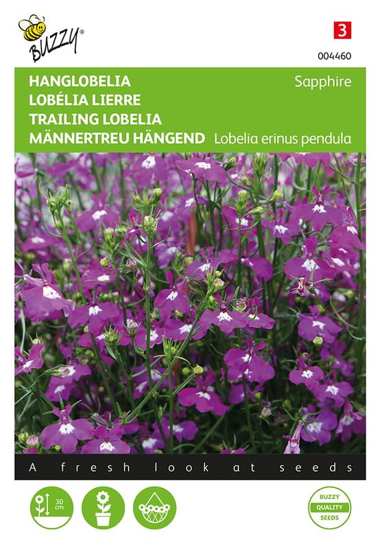 Buzzy® Lobelia, Hanglobelia Sapphire blauw