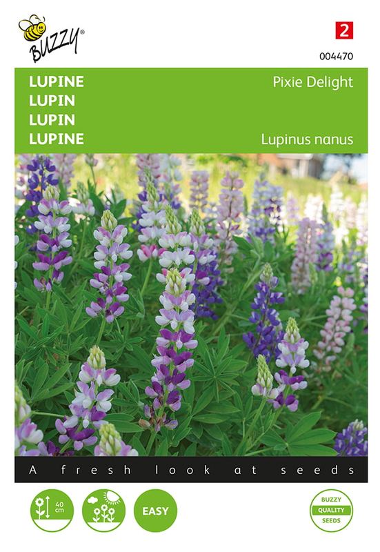 Buzzy® Lupinus, Lupine Pixie Delight gemengd