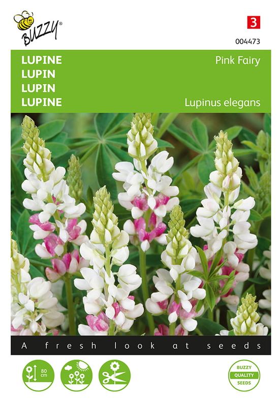 Buzzy® Lupinus, Lupine Rose laag Pink Fairy