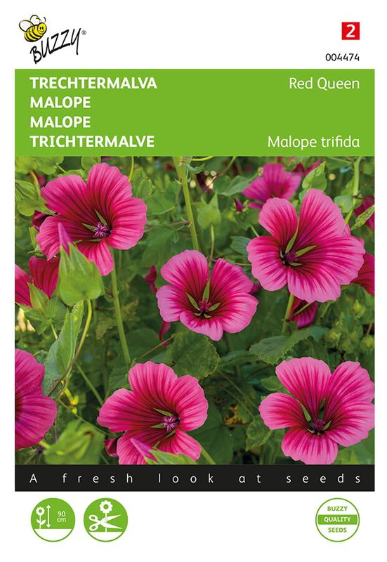 Buzzy® Malope trifida Red Queen