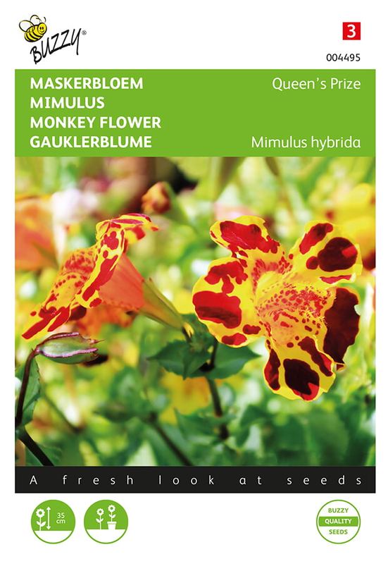 Buzzy® Mimulus, Maskerbloem Queen’s Prize gemengd
