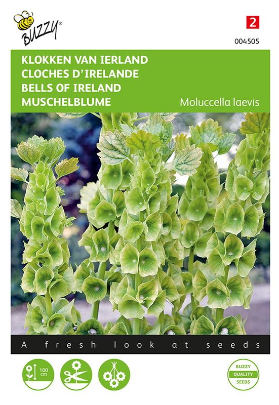 Buzzy® Molucella, Klokken van Ierland