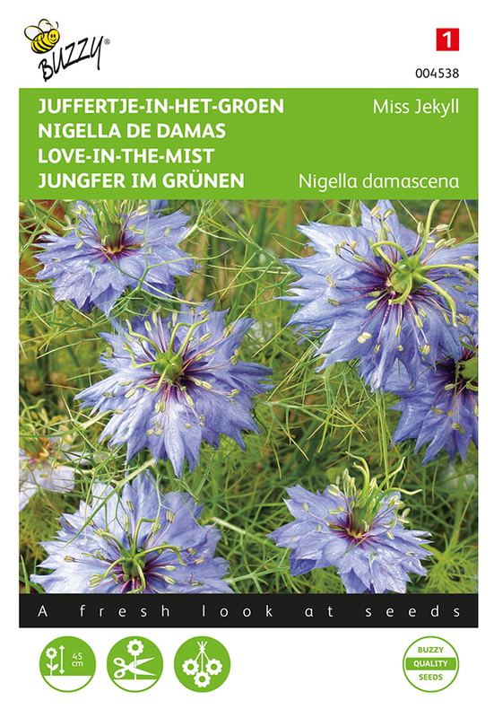Buzzy® Nigella, Juffertje-in-het-groen Miss Jekyll bleu